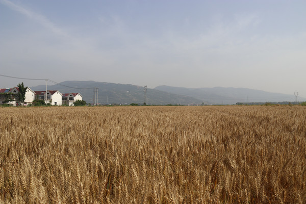 /gb2312/qishiyegonghui/13169.html